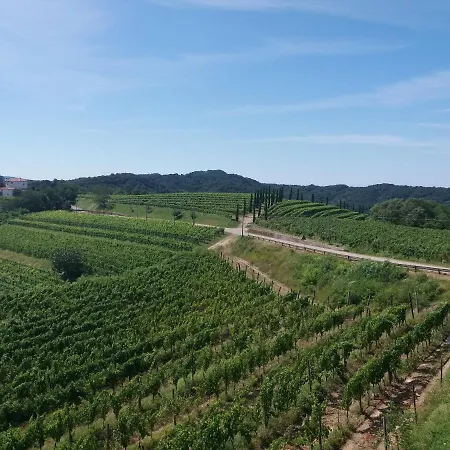 Casa Delle Rose Winery