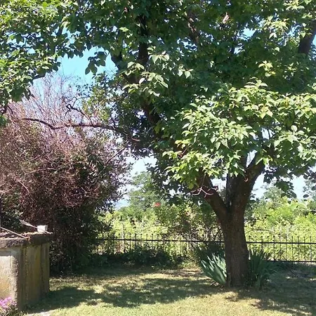 Casa Delle Rose Winery Lantgård Ruttàrs