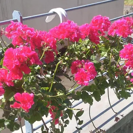 Bauernhof Agriturismo Casa Delle Rose *