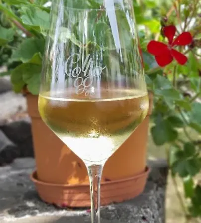 Casa Delle Rose Winery *