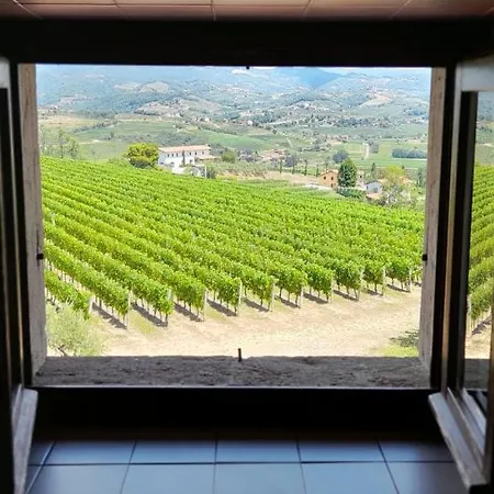 Casa Delle Rose Winery