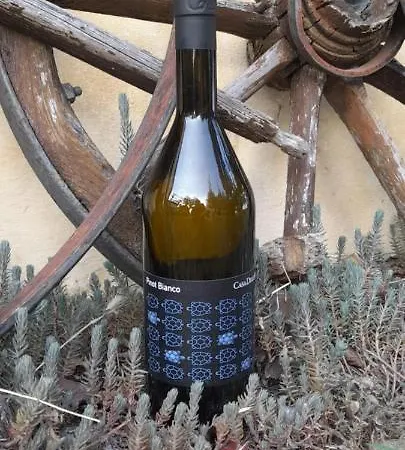 Casa Delle Rose Winery *