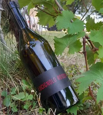 Casa Delle Rose Winery Feriegård