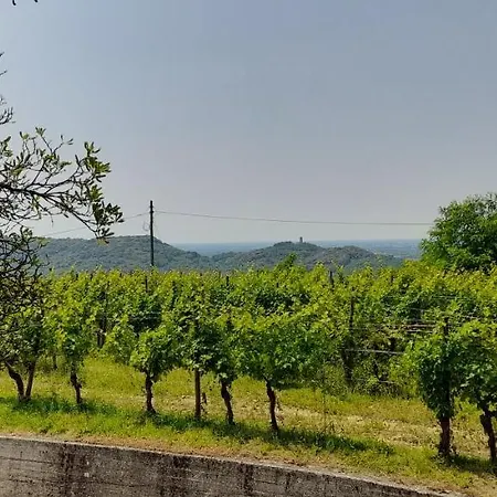 Casa Delle Rose Winery Feriegård *