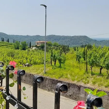 Casa Delle Rose Winery Feriegård Ruttàrs