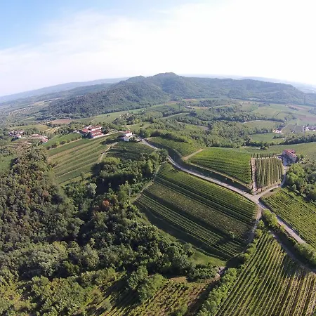 Casa Delle Rose Winery Farma