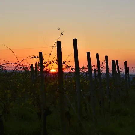 Casa Delle Rose Winery Lantgård Ruttàrs