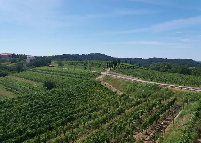 Casa Delle Rose Winery