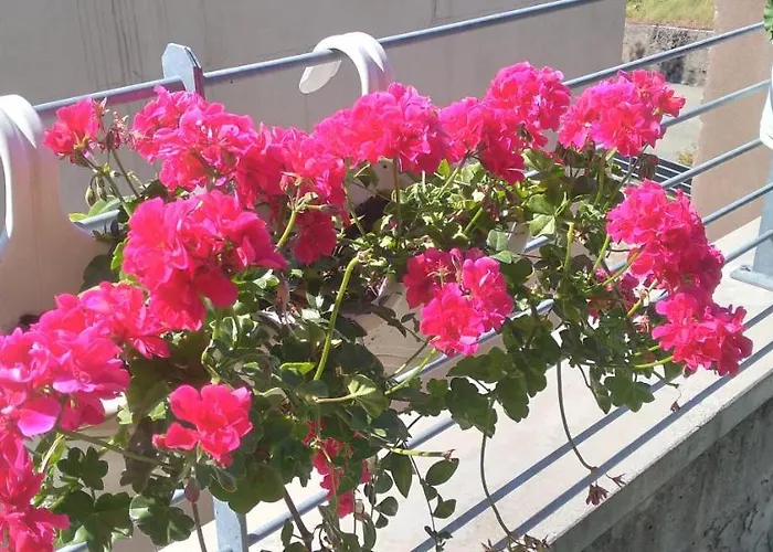 Farmház Casa Delle Rose Winery *