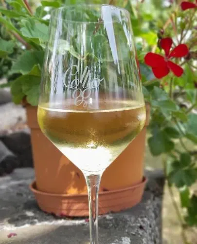 Casa Delle Rose Winery *