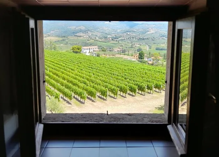 Casa Delle Rose Winery