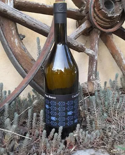 Casa Delle Rose Winery *