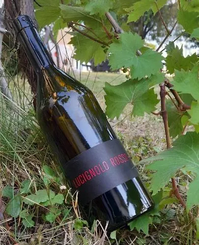 Casa Delle Rose Winery Farmház