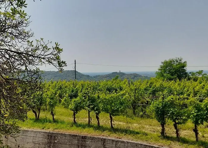 Casa Delle Rose Winery Farmház *