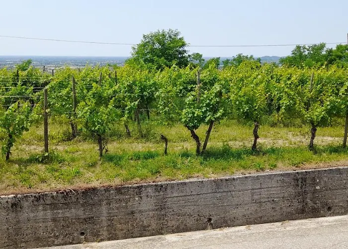 Farmház Casa Delle Rose Winery Ruttàrs