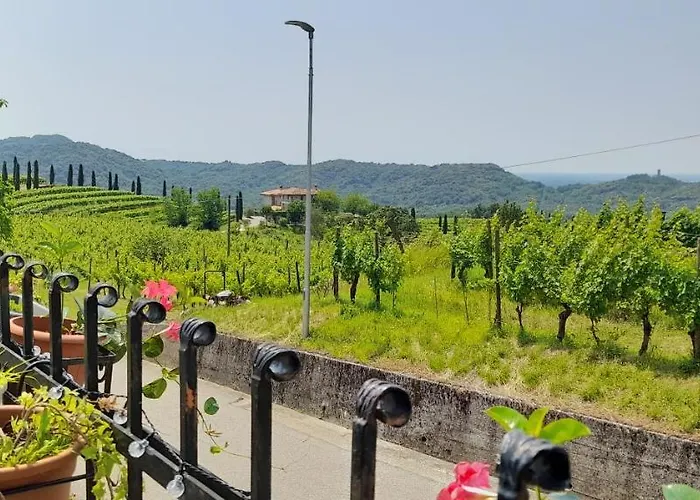 Casa Delle Rose Winery Farmház Ruttàrs