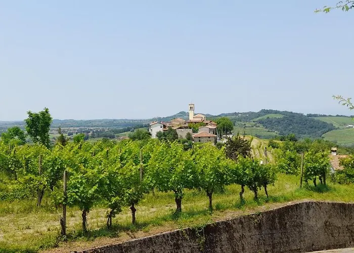 Casa Delle Rose Winery Farmház