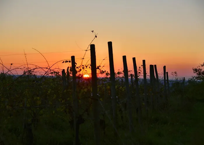 Casa Delle Rose Winery Farmház Ruttàrs