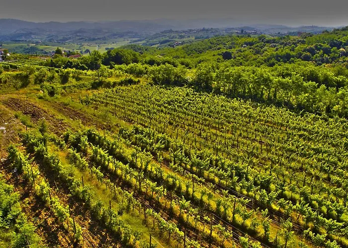 Casa Delle Rose Winery Ruttàrs